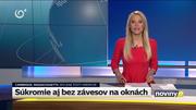 Obrázek