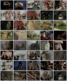marilyn chambers naked fairy tales big cock in pussy clear sex pic