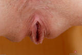 Babes Series - Piper Perri  v4w0gfexaj